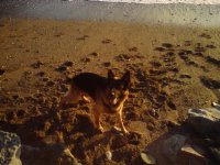 Zoom